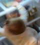 Curious Baby Falls From Refrigerator Shelf