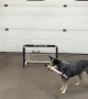 Pepper Shows Off Hockey Skills
