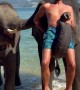 Elephant Uses Trunk To Lift Man