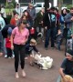 Dog Living His Best Life at the Asheville Drum Circle