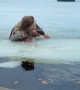 Woman Takes an Unexpected Cold Plunge