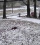 Speeding Truck Loses Control in Snowy Conditions