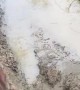 Woman Falls Into a Mud Puddle