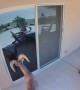 Bighorn Sheep Smashes Glass Door After Seeing Its Reflection
