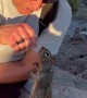 Hiker Shares Water With a Thirsty Squirrel
