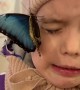 Butterfly Crawls on Kiddos Face