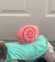 Dachshund Wears Gary the Snail Costume