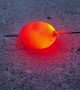 Glowing Egg Experiment