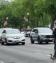 DC Police Officer Helps Duck Family Cross the Road