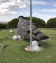 Hawk Mistakes Golf Balls for Her Eggs