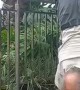 70-Year-Old Dad Walks Down Steps on His Hands