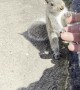 Friendly Squirrel Climbs on Me