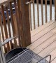 Golden Retriever Can't Climb Over Porch Gate