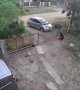 Branch From Tree Falls on Unsuspecting Man