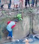 Dog Rescued By Locals At Badda Lake