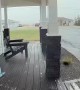 Crow Steals My Food Delivery