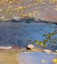5000 Rubber Ducks Race for $10,000 Prize