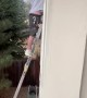 Painter Falls Off Ladder and Saves Satellite Dish