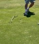 Golfer Pranked With Fake Snake
