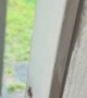 My Son Crashed Through My Door Running From the Rain