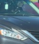 Impatient Frenchie Sounds Horn in Parking Lot