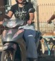 Dog Relaxes On Bicycle's Front Rack