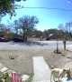 Pup Proudly Takes Package Off Porch