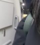 Flight Attendant Surprises Family on Flight