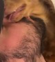Mini Dachshund Loves Licking Dad's Face