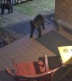 Burglarizing Bears Thwarted by Doorbell