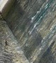 Ducklings Play On Waterslide