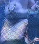 Charismatic Merman Steals the Show