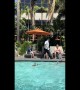 Ducklings Get an Assist From Hotel Staffer