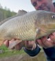 Meowing Catfish Catch