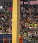 Box Stackers Send Cow to the Moooooon