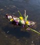 Gopher Given Gentle River Memorial