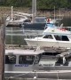 Humpback Whale Breaches in Alaskan Marina