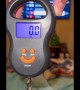 Weighing New Born Kitten