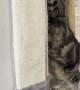 This Kitty Sure Loves Her Scratches