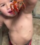 Getting Into the Box of Crawfishes