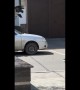 Genius Crow Uses Car Wheel as a Tool to Open Container