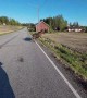 Moose Slips and Then Runs Off