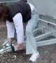 Unexpected Shower From A Trailer