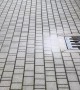 Man Rescues Ducklings That Fell Through Grate