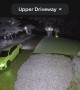 Delivery Driver Forgets to Put Car in Park