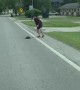 Man Moves Snapping Turtle Off Roadway