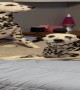 Dalmatian Pups Find the Easter Egg Basket Candy