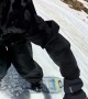 Tumbling Dog Doing Extreme Somersaults Overtakes Snowboarder