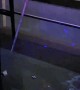 Sabrage Champagne Fail at Luxury Bar