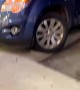 Wrecked Car Visits Liquor Store